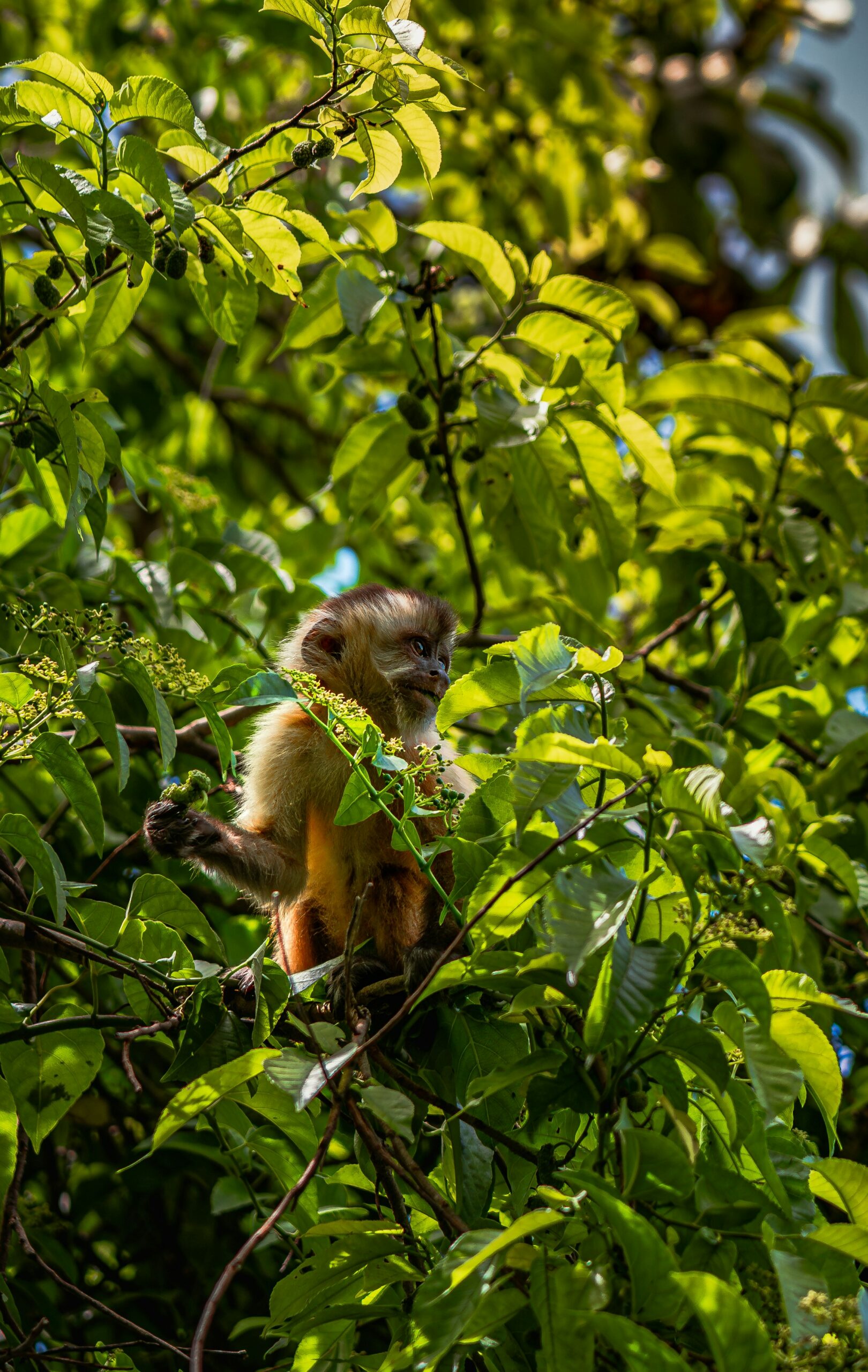 NATURALEZA VIVA