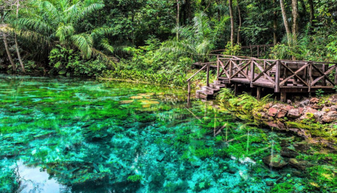 naturaleza