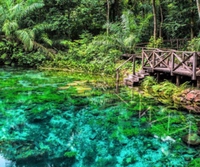 naturaleza